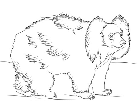 Sloth Bear Walking Coloring Page